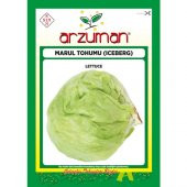 Arzuman Iceberg Marul Tohumu 5 Gram - 1