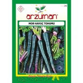 Arzuman Mor Havuç Tohumu 10 Gram thumbnail 1