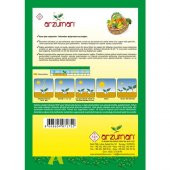 Arzuman Mor Soğan Tohumu 5 Gram - 2