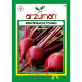 Arzuman Kırmızı Pancar Tohumu 10 Gram thumbnail 1