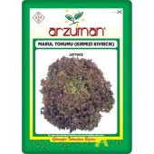 Arzuman Kırmızı Marul Tohumu (Kırmızı Kıvırcık) 5 gr - 1