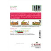 Arzuman Dahlia (Dahlia) Çiçek Tohumu 30lu thumbnail 2