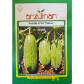 Arzuman Badem Acur Tohumu (10 Gr) - 1
