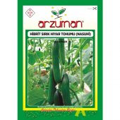 Arzuman Nasuhi F1 Sırık Hıyar Tohumu 10 Adet thumbnail 1