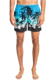 Quiksilver EQYJV03861 - Everday Paradise Volley 15 Şort - 3
