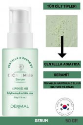 Dermal CICA x Mide Serum Centella Asiatica ve Seramid Özlü Serum 50 ML - 1