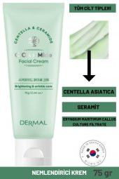 Dermal CICA x Mide Facial Cream Centella Asiatica ve Seramid Özlü Aydınlatıcı ve Kırışıklık Bakımı Yüz Kremi 75 ML - 1