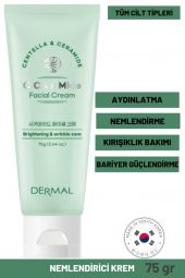 Dermal CICA x Mide Facial Cream Centella Asiatica ve Seramid Özlü Aydınlatıcı ve Kırışıklık Bakımı Yüz Kremi 75 ML - 2