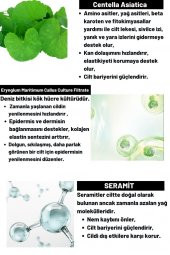Dermal CICA x Mide Facial Cream Centella Asiatica ve Seramid Özlü Aydınlatıcı ve Kırışıklık Bakımı Yüz Kremi 75 ML - 3