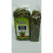 İLAYDA Limonlu Melisa Yaprağı - 2