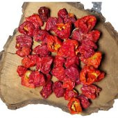 Antep Bakkalım Dolmalık Kuru Tatlı Biber 50li - 1