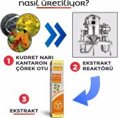Myfarmaex Kudret Narı Ekstraktı 250 ml - 4