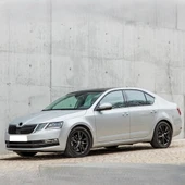 Skoda Octavia 3 A7 2013-2020 Motor Alt Karter Koruma 5Q0825236Q - 3