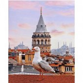 Canvas Galata Kulesi ve Martı Sayılarla Boyama Seti  Duvar Sticker Rulo 90 x 110 cm - 1