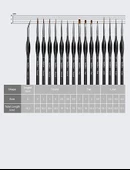 Valkyrie Giorgione 15 Adet Profesyonel Boya Fırça Seti thumbnail 6