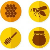 Balen 8 Adet Sıvı Propolis Ekstraktı 30 ml - Yeni Ürün - 3