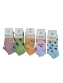 Selman Socks Kadın Pamuk Desenli Patik Çorap 36-40 (5 Adet) S 01582 thumbnail 4
