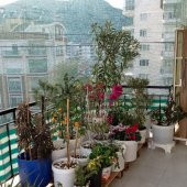 55 SIKLIKTA 1X10 METRE GÖLGELİK FİLE ARI TÜLÜ KORUMA TÜLÜ BAHÇE ÇİT FİLESİ ARI FİLESİ GÖLGELİK ÖRTÜSÜ thumbnail 4