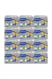 Canped Mesane Pedi Erkek Orta Boy Medium 12li X 12 Adet - 1