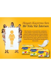 Canped Mesane Pedi Klasik L-büyük Boy 30 Adet (3pk*10) - 3