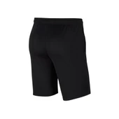 Nike Erkek Spor Şort - Dri-Fit Park CEPLİ - 3