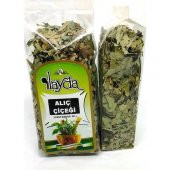 Ilayda Alıç Çiçeği (Crataegus Sp.) - 1