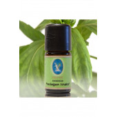 Basil Linalool 10 ml - 1
