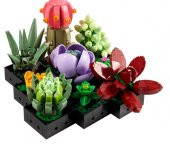 Lego Creator Expert Botanic Collection 10309 Sukulentler thumbnail 2