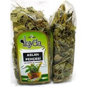 Ilayda Aslan Pençesi Otu - 1