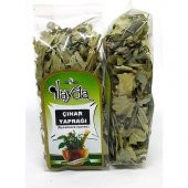 Ilayda Çınar Yaprağı (Sycamore Leaves) - 1