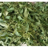 Yerli Erkek ısırgan tohumu ve yaprağı Bitki Çayı 40 G - 1