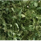 Yerli Erkek ısırgan tohumu ve yaprağı Bitki Çayı 40 G - 2