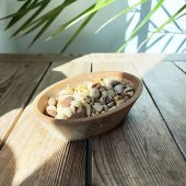 Shark Anatolia Ahşap Çerezlik Elips El Yapımı - 6