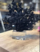 Dekoratif Krıstal Kaideli Mercan - 3