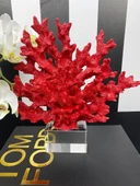 Dekoratif Krıstal Kaideli Mercan - 2