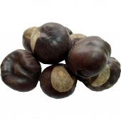 Doğal At Kestanesi Meyvesi Tane Atkestanesi Bitkisi 100GR - 5
