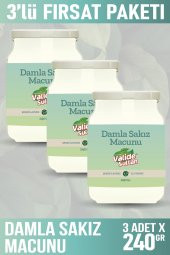 DAMLA SAKIZI MACUNU 240gr* 3 ADET - 2
