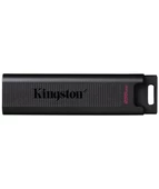 Kingston 256GB USB 3.2 Gen 2 DataTraveler Max - 1