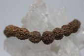 Rudraksha Tohum Bileklik 8mm - 2