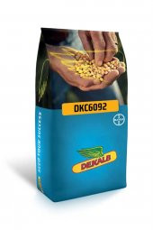 Dekalp Dkc6092 Sertifikalı Mısır Tohumu - 1