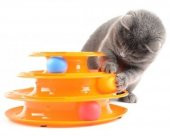 3 Katlı Kedi Oyuncağı Tower of Tracks - 1