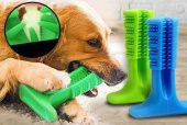 Köpek Diş Fırçası Isırma Aparatı Küçük Boy - 1