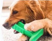 Köpek Diş Fırçası Isırma Aparatı Küçük Boy - 2