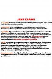 Renault Clio 15 Inç Jant Kapağı 4 Adet 1 Takım 3008 - 2