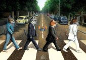 Art Puzzle Kedi Yolu 1000 Parça Puzzle - 1