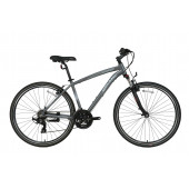 Bisan GUIDA 2024 (amt) (20.5) (52cm) - 1