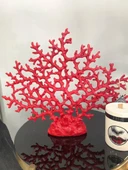 MERCAN ÇOK DALLI HAYAT AĞACI BİBLO thumbnail 2