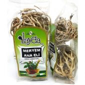 Ilayda Meryem Ana Eli Otu - 1