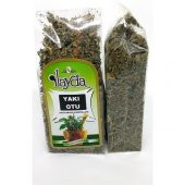 Ilayda Yakı Otu (Angustifolium Linnaeus) - 1