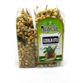 Ilayda Üzerlik Otu (Peganum Harmala) - 1